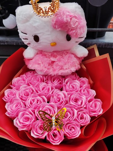 Hello kitty plüsch ewigen - hello,